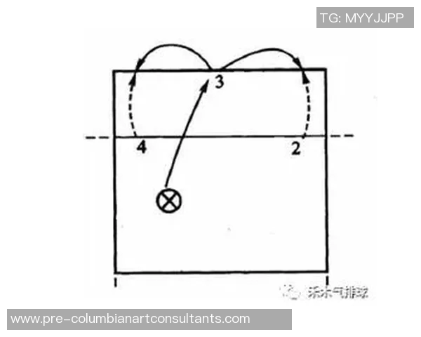 上海排球队的战术调整与成绩波动分析